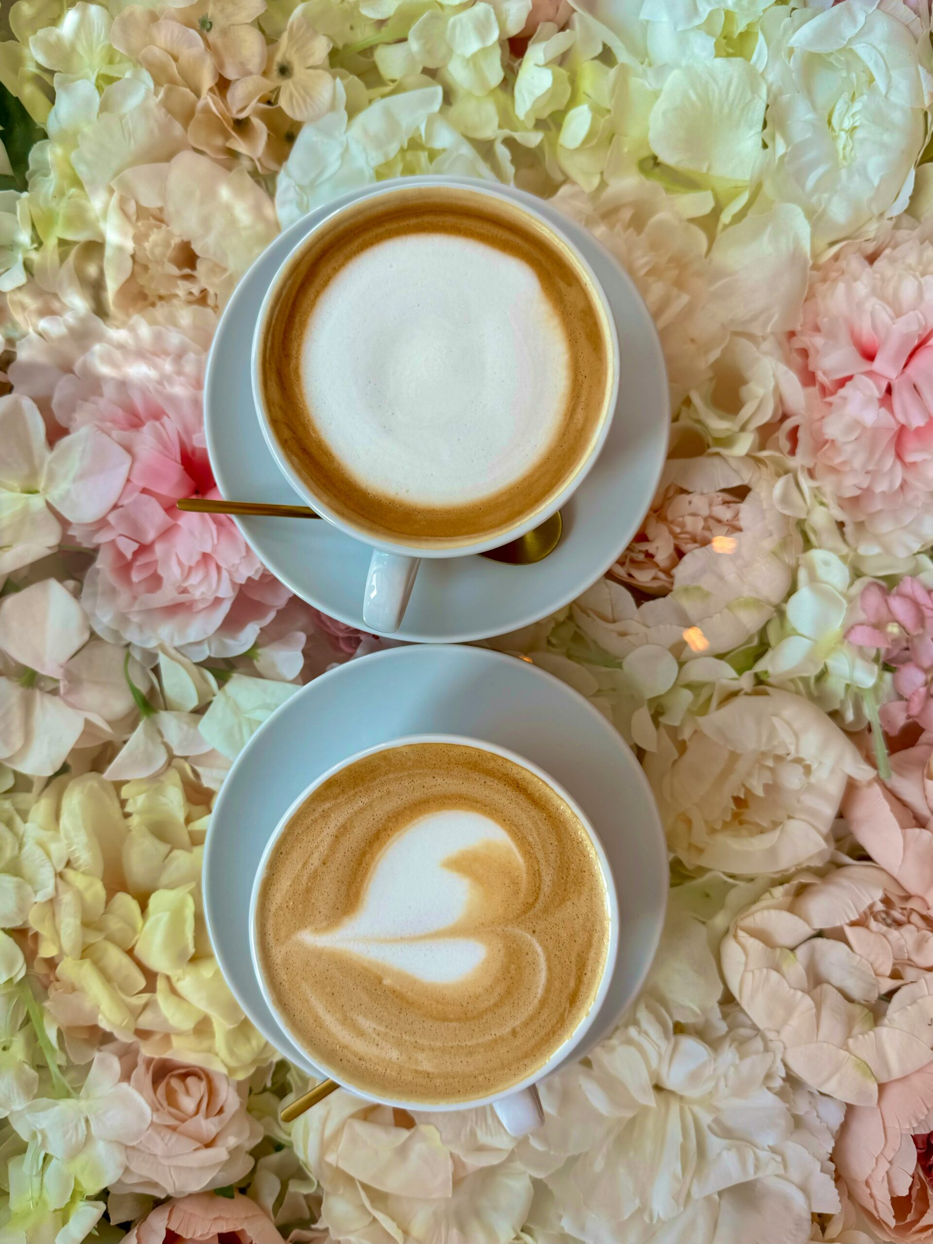 Two coffe cups with petals